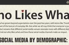 Demographic Separated Social Media