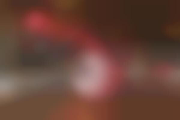Palace Art Exhibits