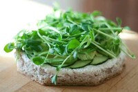 Disguised Stacked Lunches Image 5