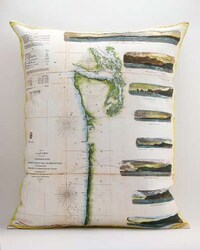 Cartogram-Clad Cushions Image 6