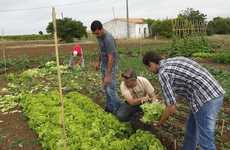 Online Farming Enterprises (UPDATE)
