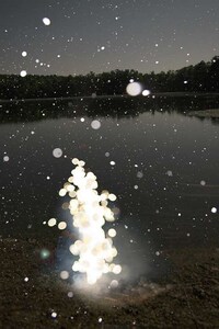 Magical Forest Photography Image 5