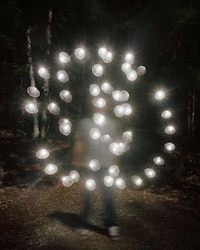 Magical Forest Photography Image 8