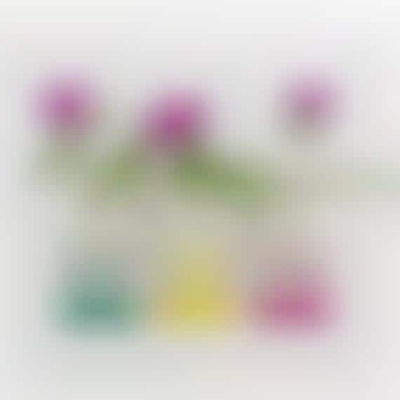 Geometric Flower Wall Furnishings