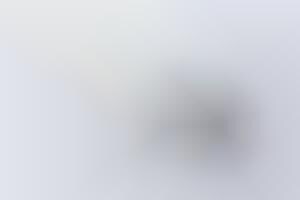 Rabbit-Eared Seating : SANAA Armless Chair for Americans