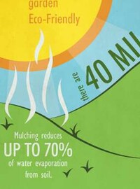 Eco-Friendly Landscaping Charts Image 2