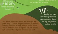 Eco-Friendly Landscaping Charts Image 3