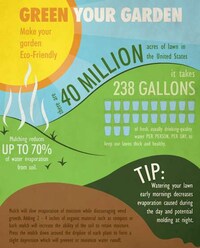 Eco-Friendly Landscaping Charts Image 5