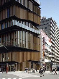 Layered Slat Facades Image 2