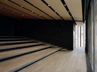 Layered Slat Facades Image 6