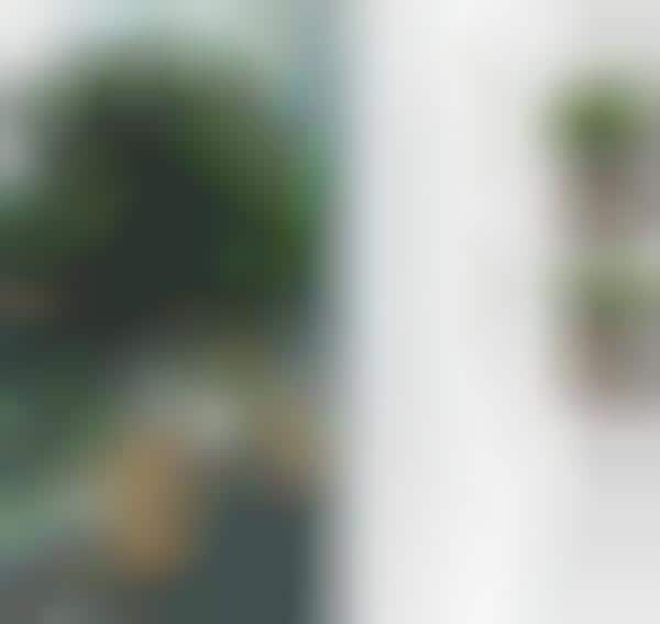 Architectural Digest Homepage - Luxury Urban Apartments With Garden