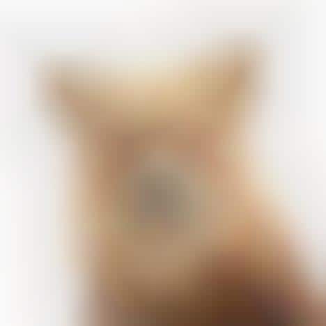 Humanizing Creature Captures