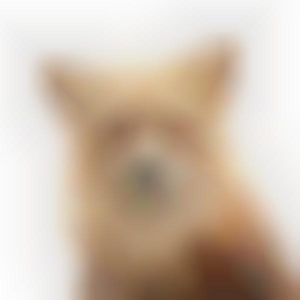 Humanizing Creature Captures