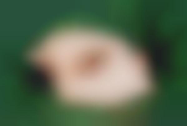 Bare Nature Photography