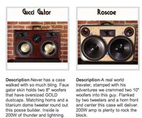 Luggage Sound Systems Image 8
