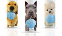 Bathing Hound Branding