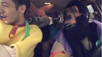 Plush Toy Mosh Pits Image 7