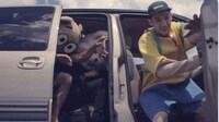 Plush Toy Mosh Pits Image 8