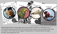 Jes McKay Gilmore, Creator of Species Spectrum (INTERVIEW) Image 2