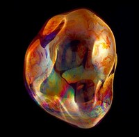 Blown Bubble Captures Image 2