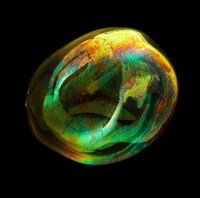 Blown Bubble Captures Image 5