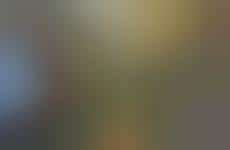 Steamwhistle Brewery Tour: Trend Hunter Fun Day