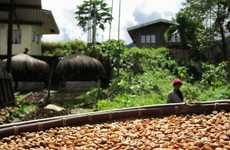 Ethical Organic Java Beans