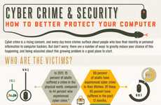Cyber Crime Infographics