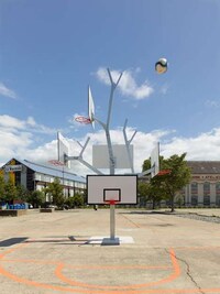 Arboreal-Inspired Ball Nets Image 2