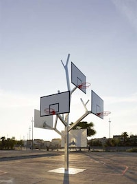 Arboreal-Inspired Ball Nets Image 4