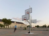 Arboreal-Inspired Ball Nets Image 8