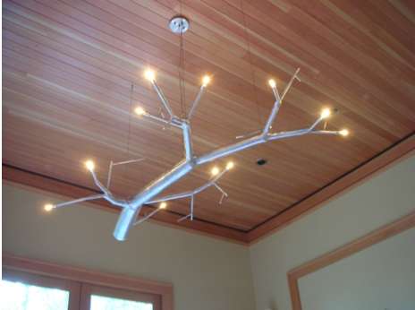 69 Tree Branch Creations