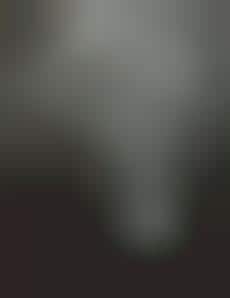 Naked Celebs For Breast Cancer: Amy Winehouse, Sade & Helena Bonham Carter