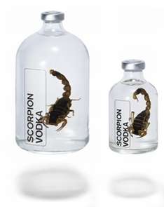 Edible Insects