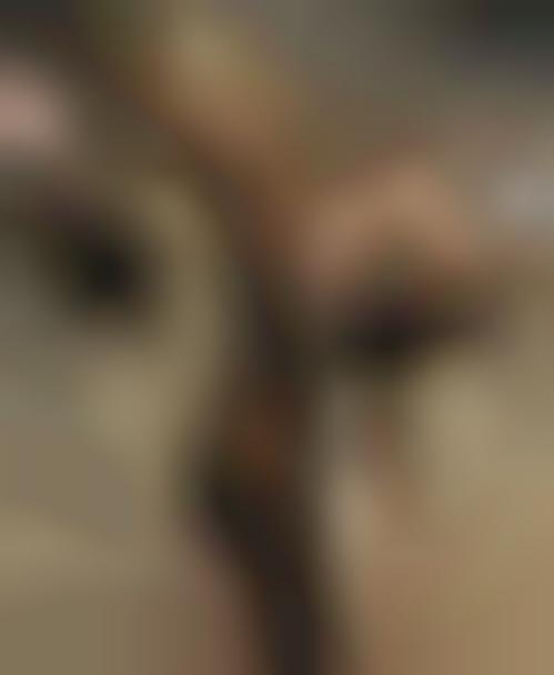Porn Inspired by Video Games