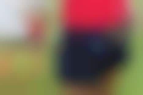 Hands-Free Dog Walking