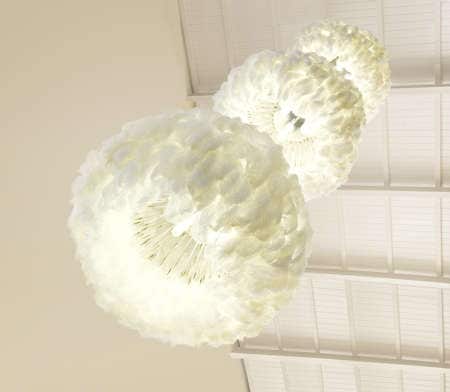 Illuminated Ostrich Pods