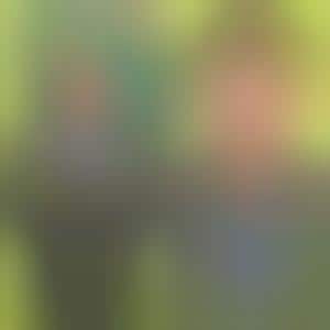 Green Credit Cards