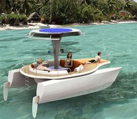 Eco-Friendly Boats-Hybrid Boat Uses Solar and Human Power Image 4