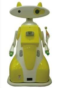 Robotic Babysitters