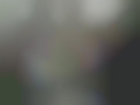 Viral Video Responses