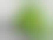 Eco Jargon