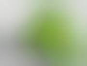 Eco Jargon