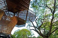 Organic Architecture Image 3