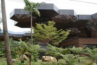 Organic Architecture Image 4