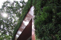 Living Walls Image 4