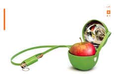 Designer Bags for Fruit 2