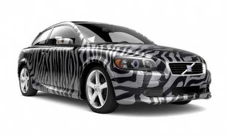 Hip Auto Skins