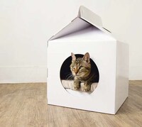 Dairy Carton Doghouses Image 7