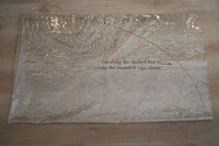 Transparent Rain Capes Image 5
